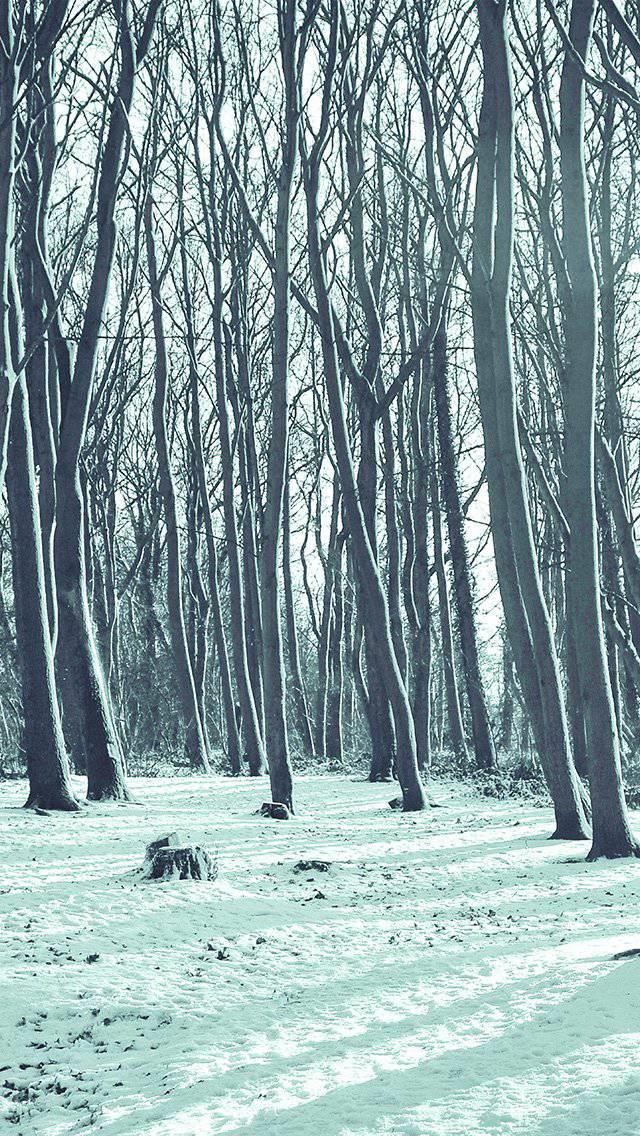 winter-forest-snow-nature-mountain-blue-iphone-5